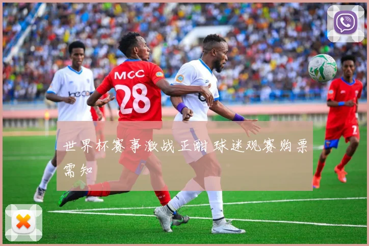 世界杯赛事激战正酣 球迷观赛购票需知