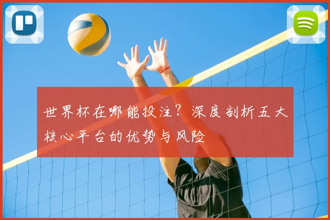 世界杯在哪能投注？深度剖析五大核心平台的优势与风险