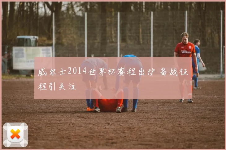 威尔士2014世界杯赛程出炉 备战征程引关注