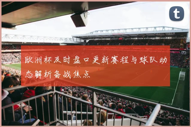 欧洲杯及时盘口更新赛程与球队动态解析备战焦点