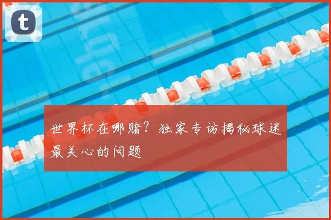 世界杯在哪赌？独家专访揭秘球迷最关心的问题