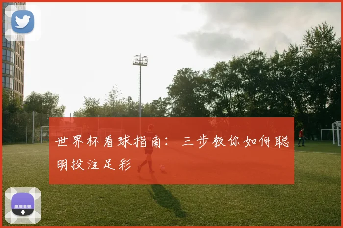 世界杯看球指南：三步教你如何聪明投注足彩