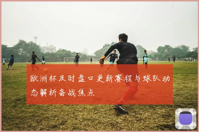 欧洲杯及时盘口更新赛程与球队动态解析备战焦点