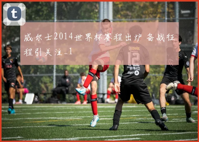 威尔士2014世界杯赛程出炉 备战征程引关注_1