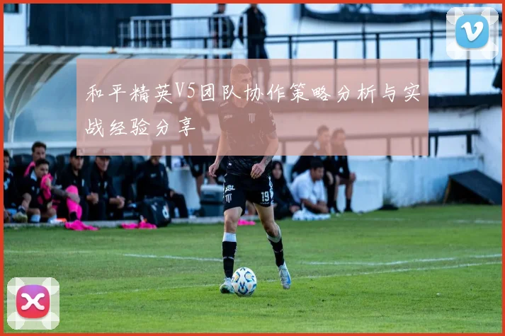 和平精英V5团队协作策略分析与实战经验分享