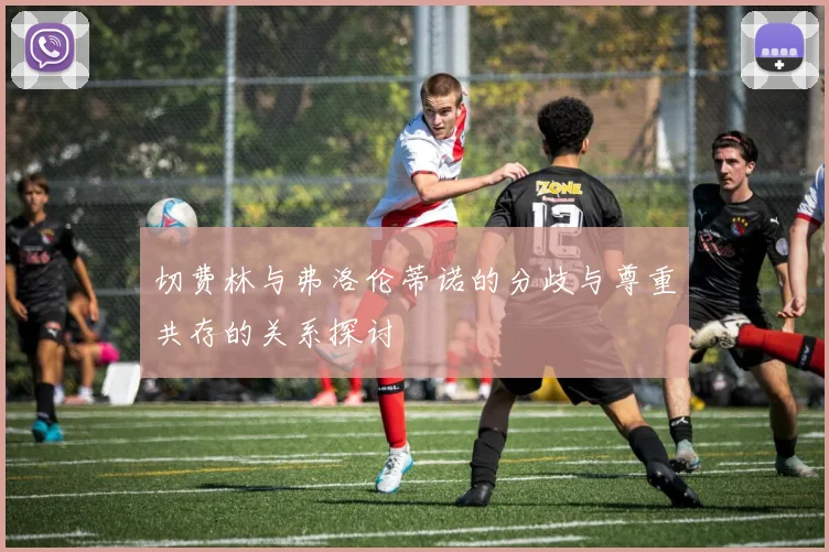 切费林与弗洛伦蒂诺的分歧与尊重共存的关系探讨