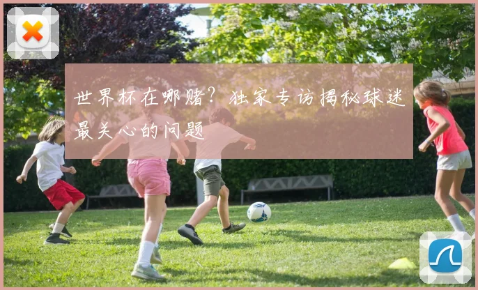 世界杯在哪赌？独家专访揭秘球迷最关心的问题