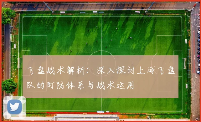 飞盘战术解析：深入探讨上海飞盘队的盯防体系与战术运用