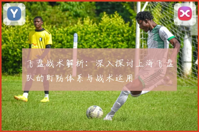 飞盘战术解析：深入探讨上海飞盘队的盯防体系与战术运用